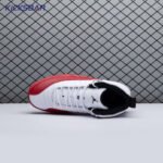 Air Jordan 12 Cherry CT8013-116 Men's - Image 6