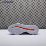 Nike Air Zoom Pegasus Premium Airscape HQ2592-002 Unisex - Image 7