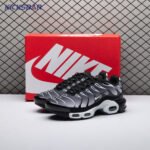 Nike Air Max Plus Black Silver White DM0032-003 Unisex