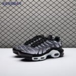 Nike Air Max Plus Black Silver White DM0032-003 Unisex - Image 2